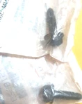 Polaris Genuine Pure Oem Nos Packaged Screws (2) 7518529. Fixed Price $7.89.
