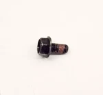 Qty 10 2004-2024 Polaris Indian Slingshot Screw Hxflghd M6X12 Oem Nos 7517886. Fixed Price $24.99.