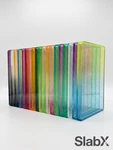 Slabx Psa Graded Guard/ Shield With Tpu Pc Protector Stackable. Fixed Price $9.74.