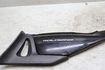 2006-2010 Honda Goldwing GL1800 Right Side Cover. Fixed Price $99.99.