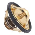New Thermostat Fits Yamaha FJR1300AE 2006-2009. Fixed Price $17.49.