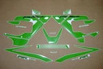 Stickers For Cbr 929RR Fireblade Customized Lime Green Verde Decals Set Emblems. Fixed Price $178.01.