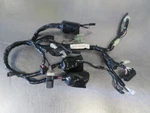 EB1266 2009 Yamaha Xt 250 Wiring Harness Complete. Fixed Price $115.99.