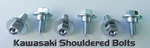 6PC Kawasaki Radiator Shroud Side Cover Fork Guard Bolt KX85 KX100 KX250F KX450F. Fixed Price $9.09.
