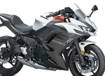 Kawasaki Cowling, Side, Lh, Graystone 55060-5271-63P Oem / Genuine. Fixed Price $489.99.