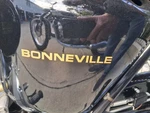 Bonneville Gold Block Type Side Panel Stickers '69-70 Triumph T120R 60-2103 Each. Fixed Price $15.00.