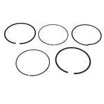 Polaris Piston Rings Kit, Genuine Oem Part 2206217, Qty. Fixed Price $79.99.