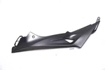 Bmw S1000RR K46 15-18, K47 13-20 Tank Fairing Side Cover. Fixed Price $82.13.