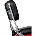 National Cycle Paladin Backrest P9800A. Fixed Price $152.76.