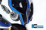 Ilmberger Carbon Fibre Air Intake Duct Front Centre Piece Bmw HP4 2013 - 2014. Fixed Price $376.40.
