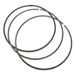 Polaris Piston Rings Kit, 93 Mm, 875, Genuine Oem Part 2204509, Qty 1. Fixed Price $79.99.
