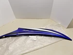 Nos Yamaha 2C0-Y283V-60-P0 Panel Assembly YZFR6. Fixed Price $301.99.