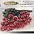 Pro Bolt Fairing Aluminum Kit FSU163-R Red 60-8094. Fixed Price $26.40.
