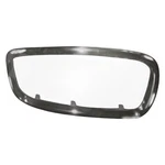 Grille Frame For Bmw 745I 2002-2005 Passenger Side 104-59106. Fixed Price $46.62.