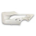 2020-2024 Ducati Panigale V2 V4 Right Lower Side Fairing Panel Oem 48013355A. Fixed Price $239.99.