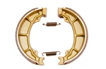 2001-2018 Polaris Scrambler Outlaw Predator Aeon Rear Brake Shoe Set 43120119-00. Fixed Price $32.84.