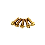 Gold Rear Brake Rotors Mounting Bolts Screw For Harley Softail Dyna Touring. Fixed Price $25.95.
