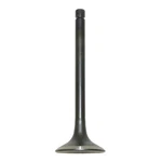 Exhaust Valve 1987-2021 Yamaha Wolverine 350 Warrior Raptor Atv 1UY-12121-01-00. Fixed Price $65.29.