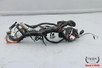 2009 Harley Electra Glide Fairing Interconnect Wiring Harness 70232-08 Video. Fixed Price $94.44.