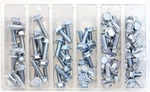 Bolt 10MM Flange Assortment 12, 16, 20 & 25 SV-M6HEX10. Fixed Price $27.99.